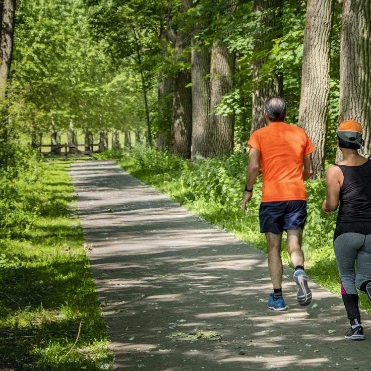 Professional gym interior with weight-training equipment